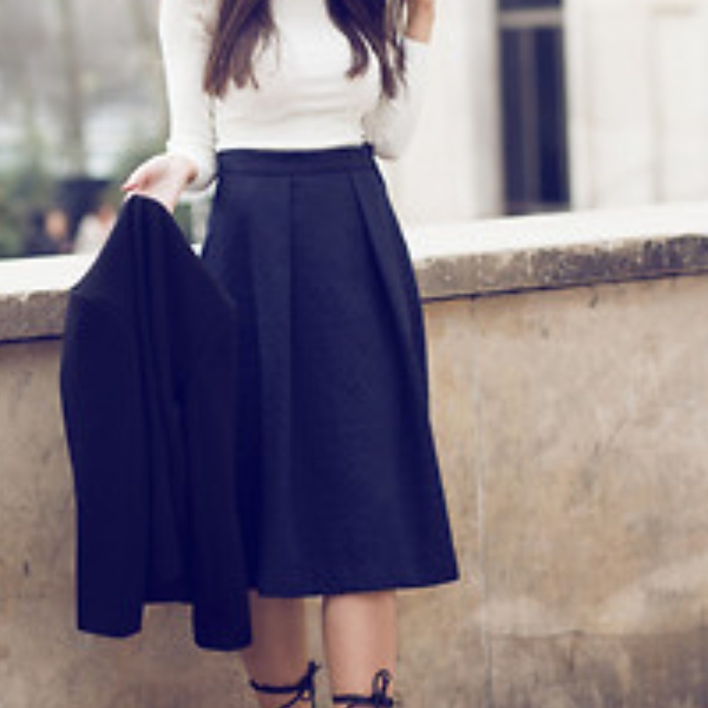 Zara Basic Navy Pleated A-Line Skirt
